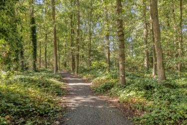 Omgeving