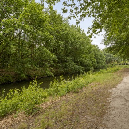 Natuur