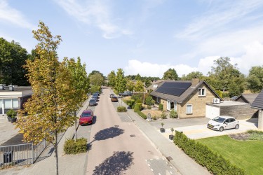 Omgeving