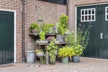 Extra foto's