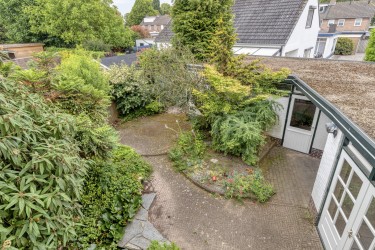 Tuin