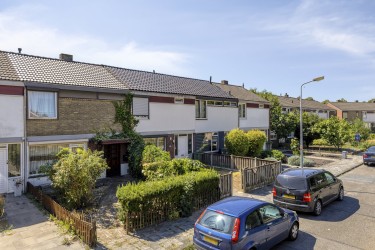 Tuin