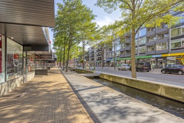 Omgeving