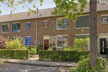 Extra foto's