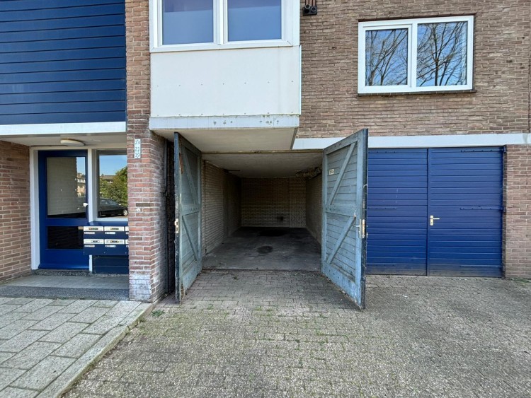 Hoofdfoto
