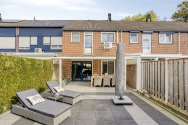 Tuin