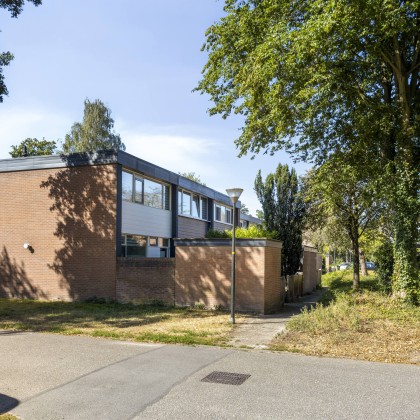 Groene omgeving