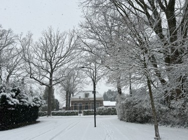 Omgeving