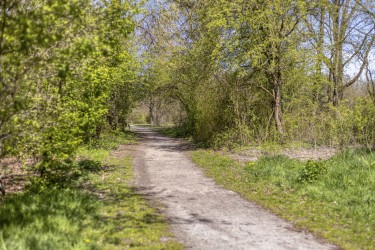 Omgeving