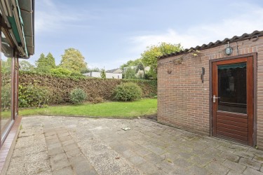 Tuin