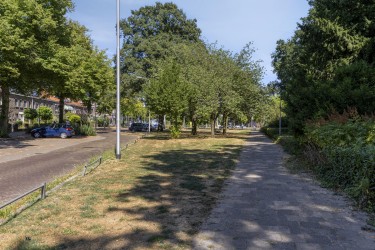 Extra foto's