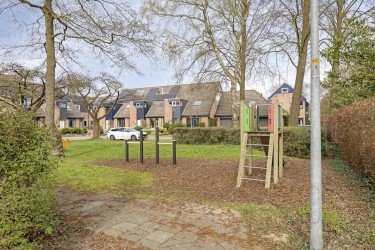 Omgeving