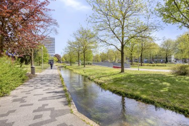 Omgeving
