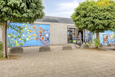 Omgeving