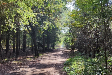 Omgeving