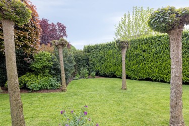 Tuin