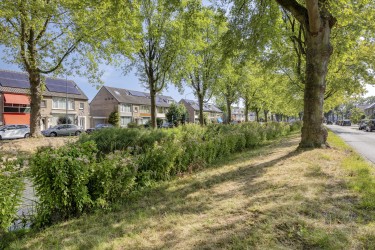 Extra foto's