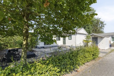 Tuin