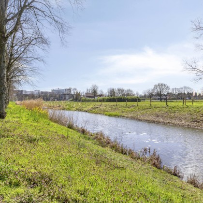 Groene omgeving