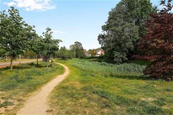 Omgeving