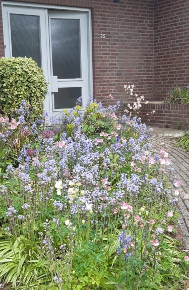 Extra foto's