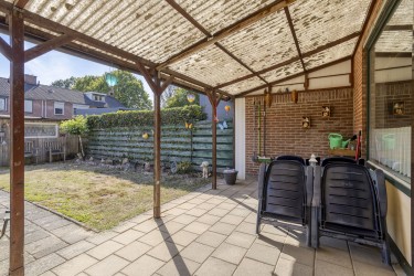 Tuin