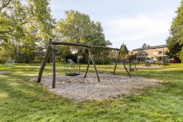Omgeving
