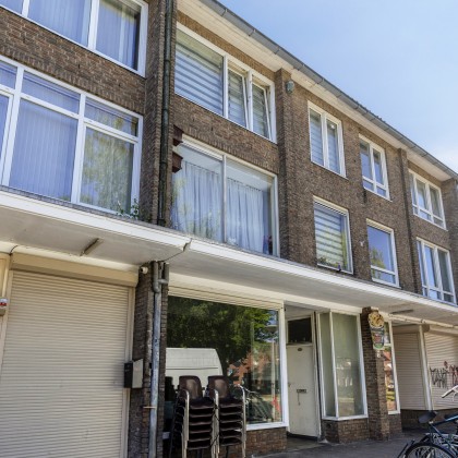 Levendig Berckelbosch