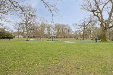 Omgeving