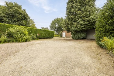 Tuin