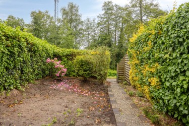 Tuin