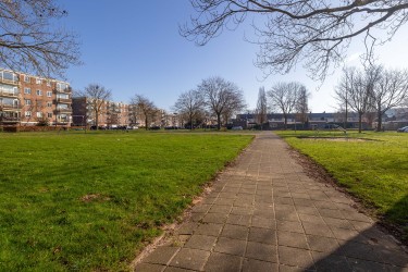 Omgeving