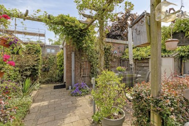 Tuin