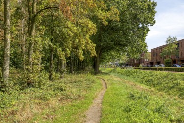 Extra foto's