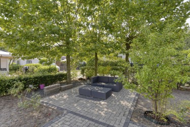 Tuin