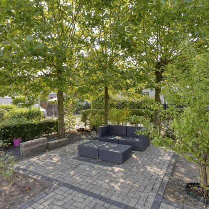 Genieten