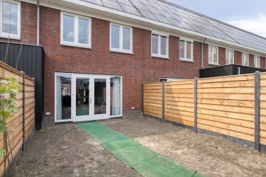 Tuin
