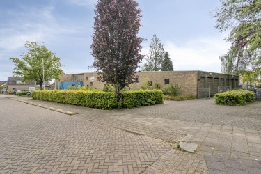 Omgeving