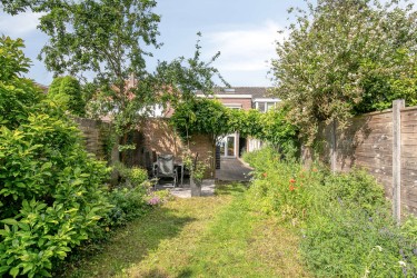 Tuin