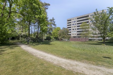 Omgeving