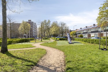Omgeving