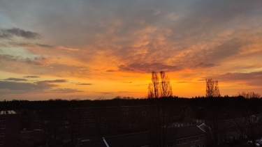 Extra foto's