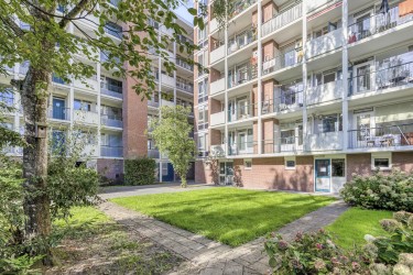 Fijne buurt