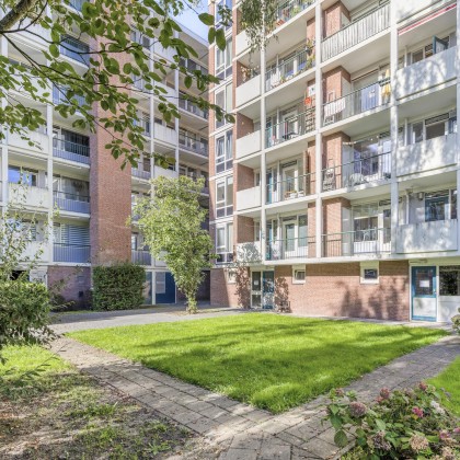 Fijne buurt