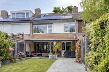 Tuin