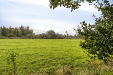 Omgeving