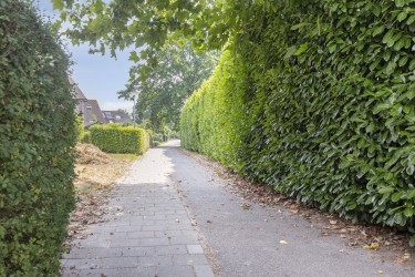 Extra foto's