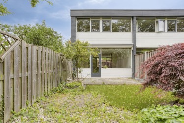 Tuin