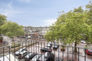 Omgeving