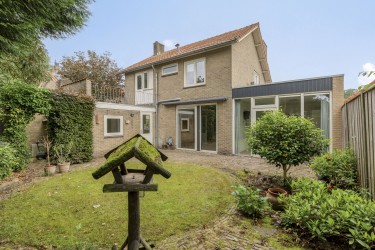 Tuin